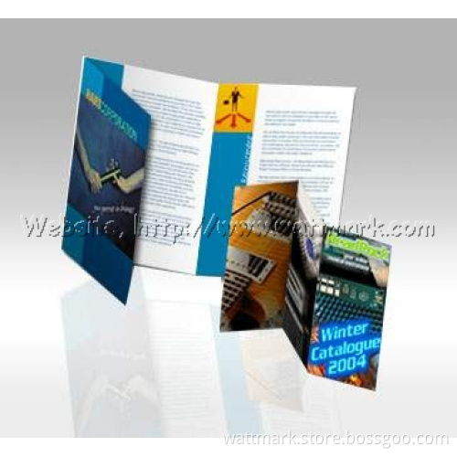 Fast Printing Leaflet, Brochure (LB)